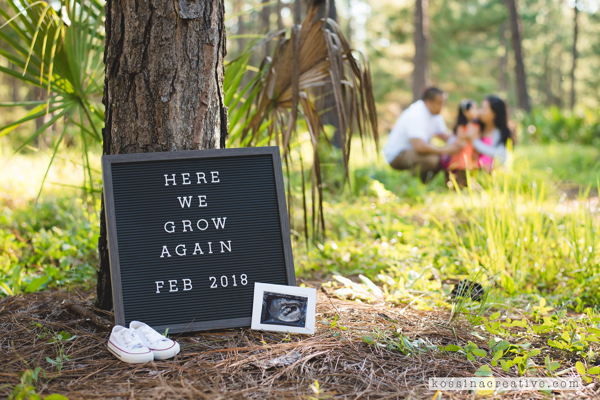Pregnancy Baby Announcement Orlando Photoshoot
